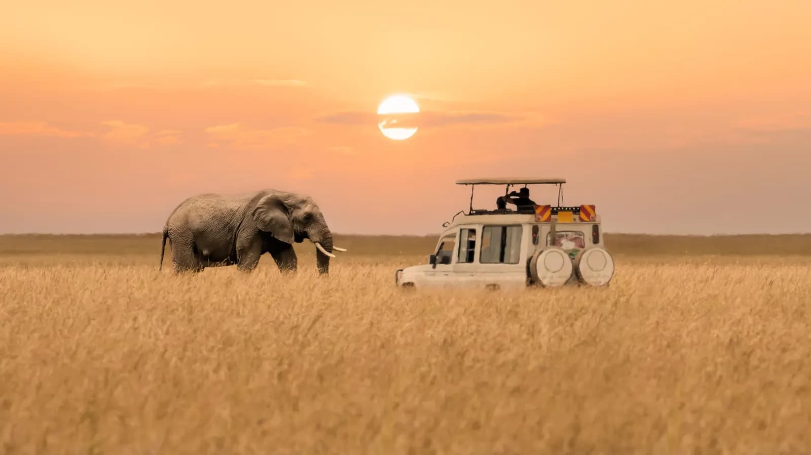 Kenya Safari Tours – Extraordinary Luxury Wildlife Experiences