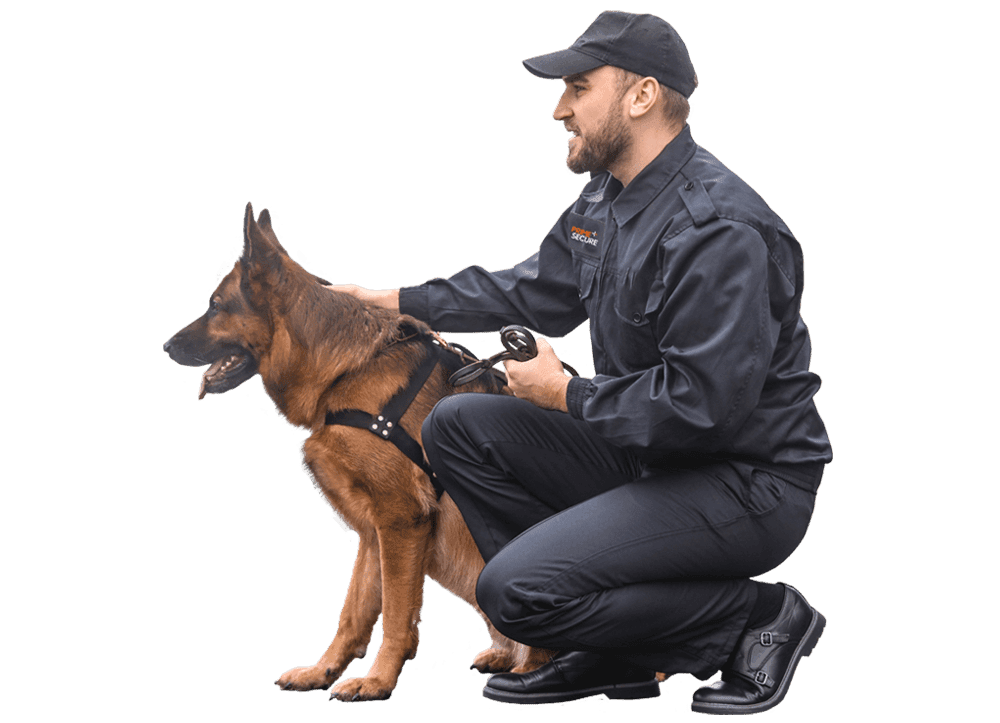 High-Impact Protection Using Security Dog Services Newcastle upon Tyne