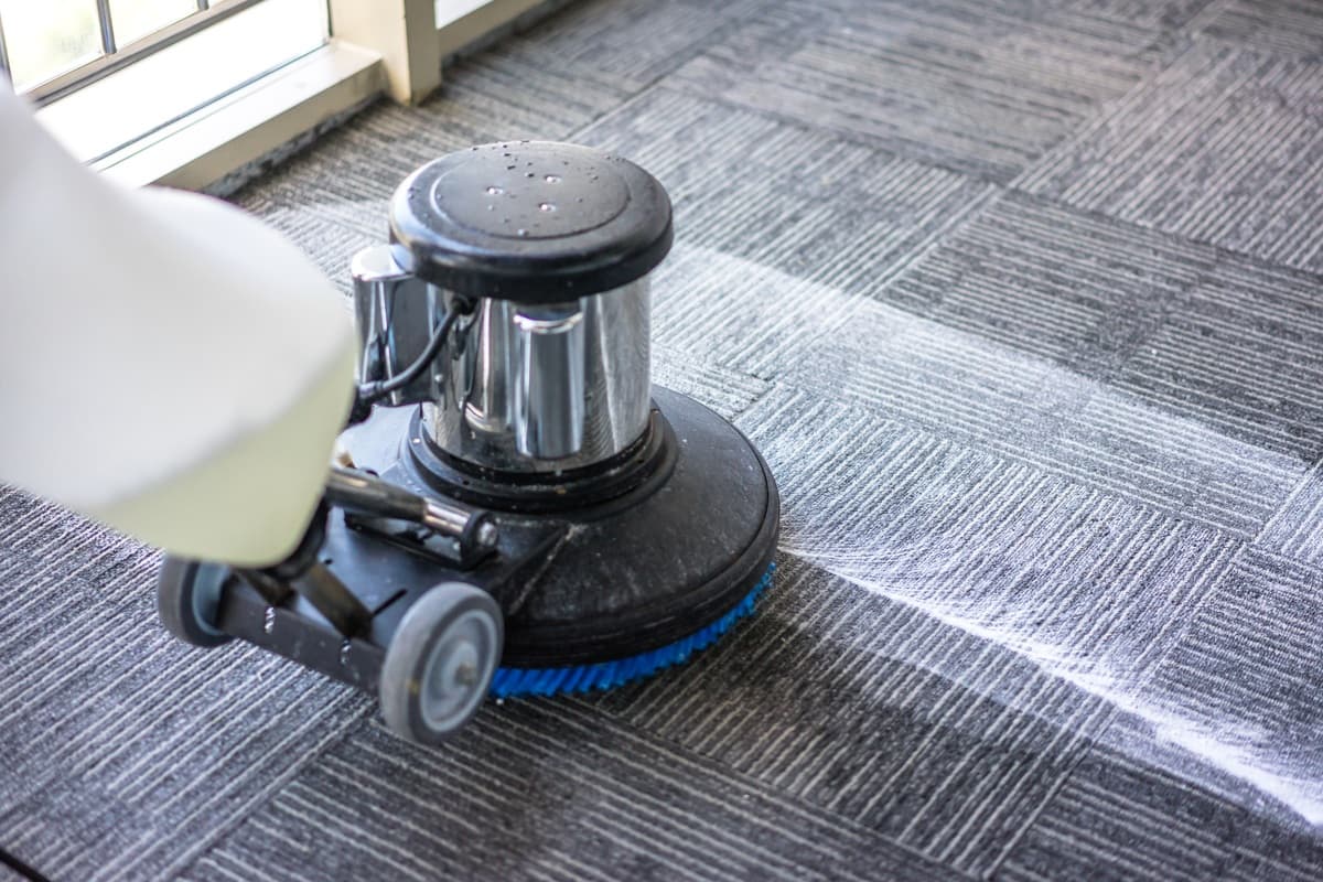 High-Quality carpet cleaning lakeway tx for Homes and Offices