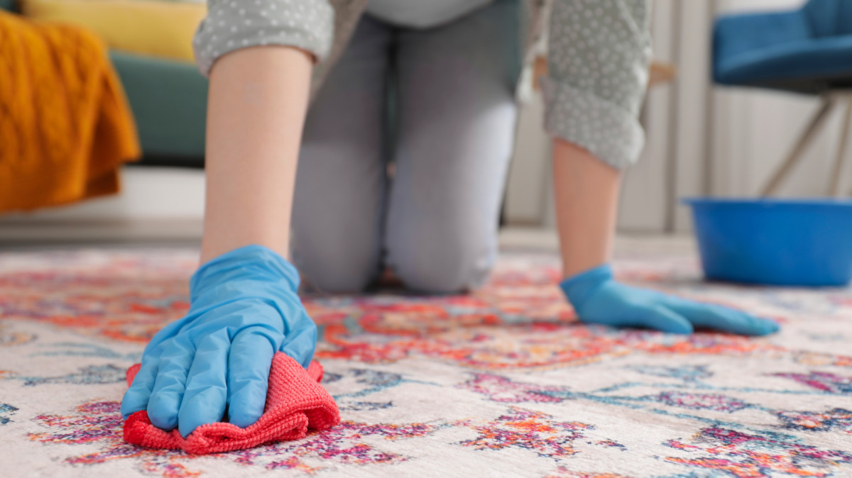 High-Quality carpet cleaning lakeway tx for Homes and Offices