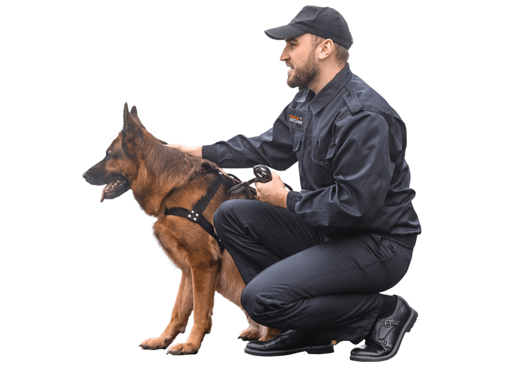 High-Impact Protection Using Security Dog Services Newcastle upon Tyne
