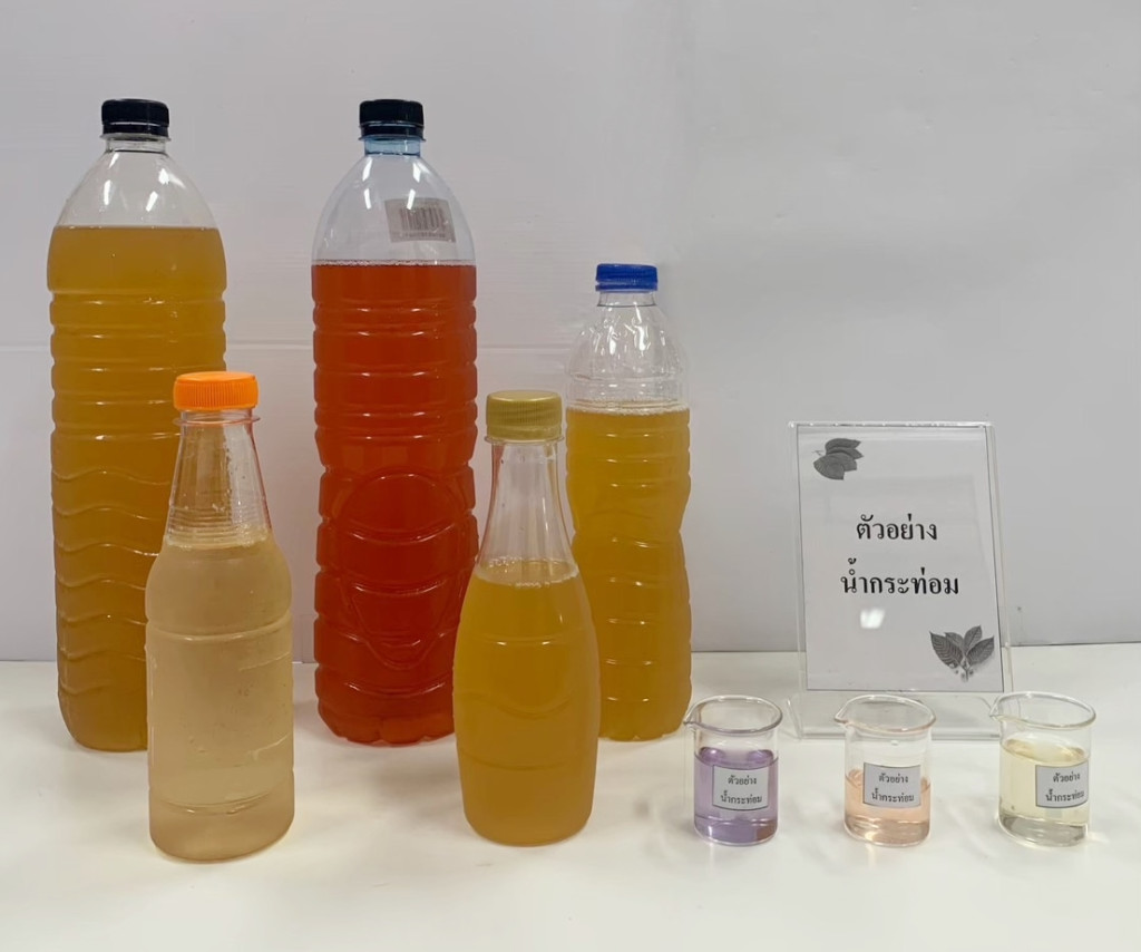 กระแสร้านกระท่อมใกล้ฉันในชุมชนเมือง