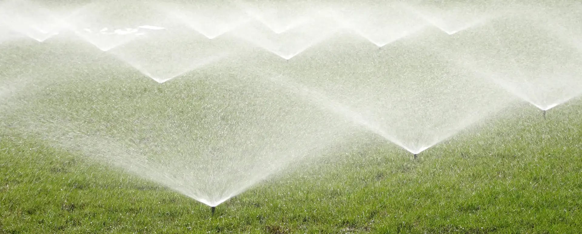 Affordable Expert Drainage Services in Springtown , TX You Can Rely On