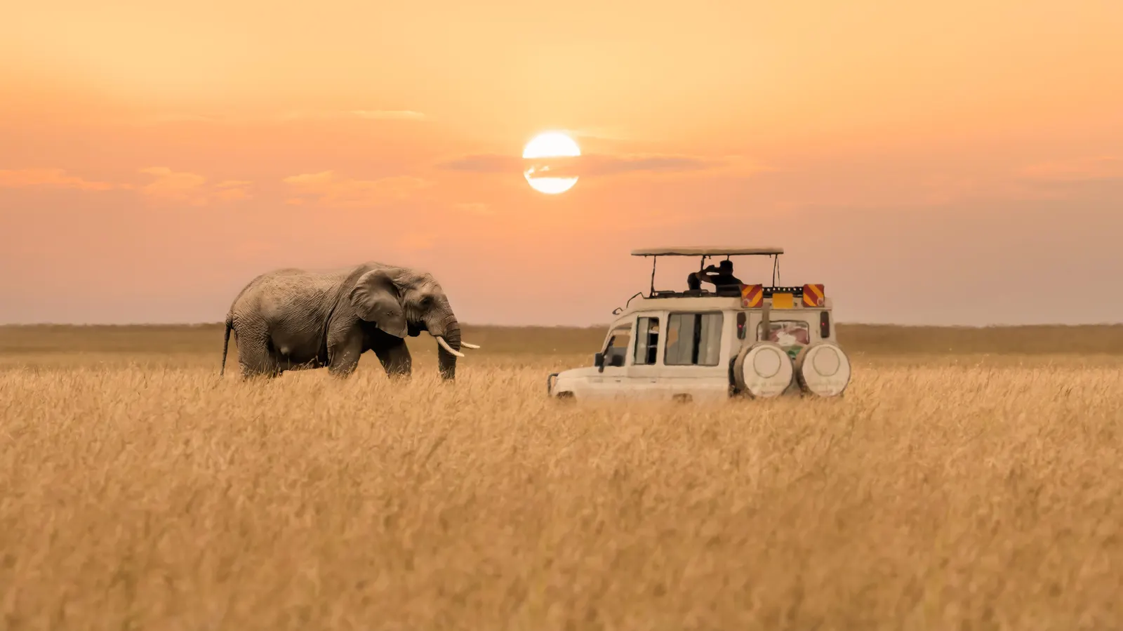 Kenya Safari Tours – Extraordinary Luxury Wildlife Experiences